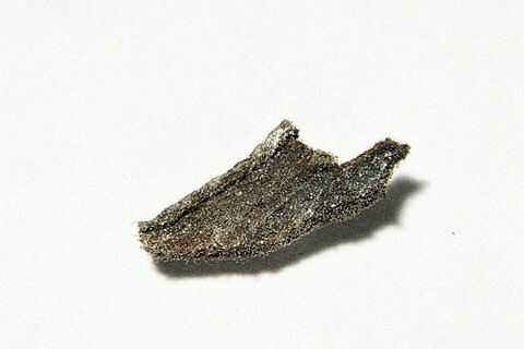 semelle de chaussure, fragment