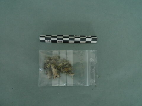pied, image 2/3