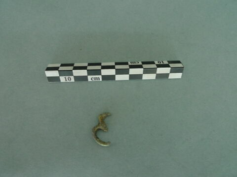 anneau, image 2/3