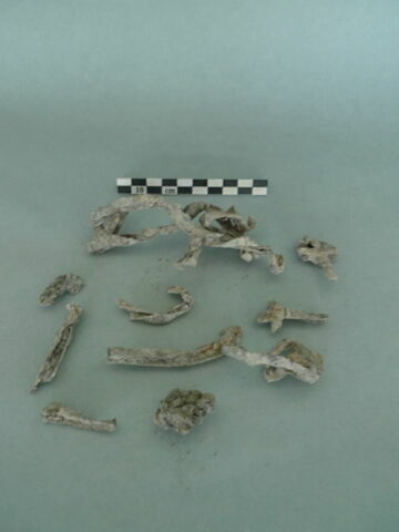 vitrail, image 3/3