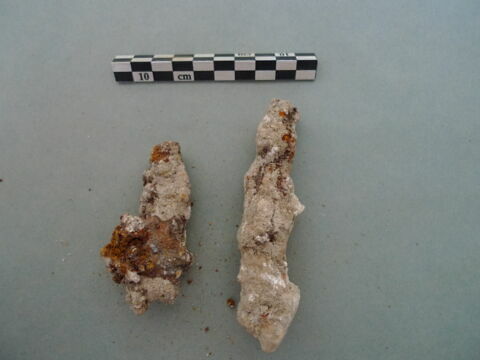 nodule, image 2/3