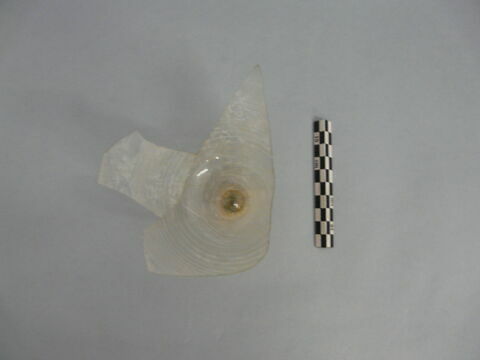 verre à jambe à bouton, image 2/3