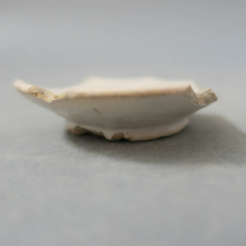 cupule, image 2/2