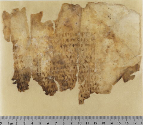 feuillet de codex ; fragment, image 2/2