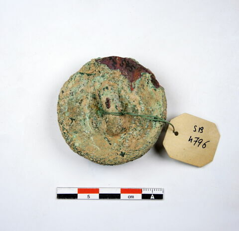bouton, image 2/2