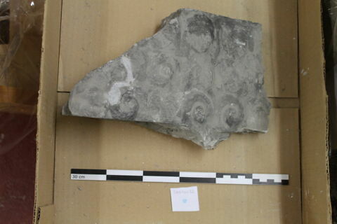 chapiteau, image 2/2