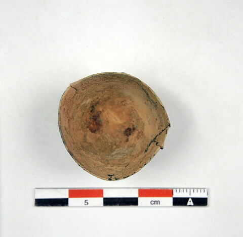 clochette  ; cupule, image 2/3