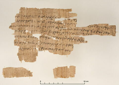 papyrus documentaire, image 2/2