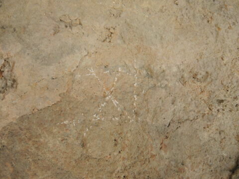 brique, image 4/5