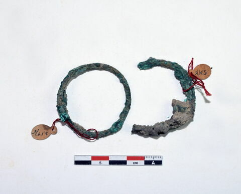 anneau ; boucle d'oreille