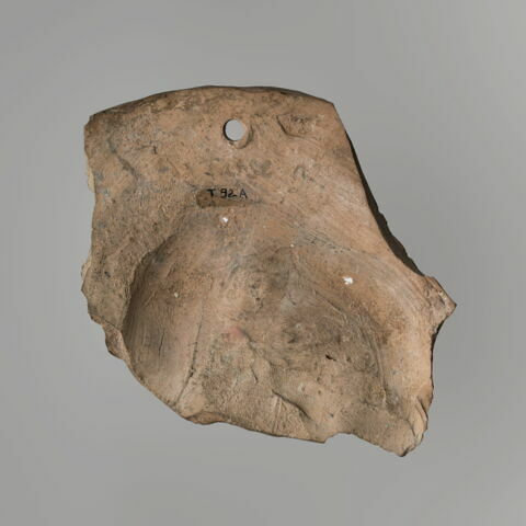 oscillum, image 2/4