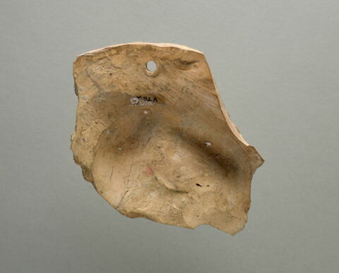 oscillum, image 4/4