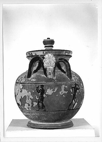pyxis, image 6/7
