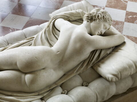 Hermaphrodite endormi, image 3/11