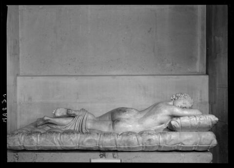 Hermaphrodite endormi, image 11/11