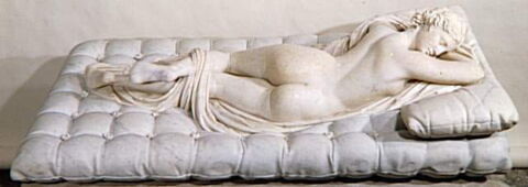 Hermaphrodite endormi, image 10/11