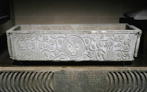 sarcophage de Saint Drausin, image 5/5