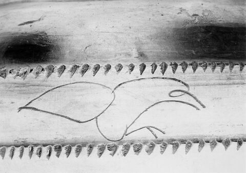 amphore, image 3/5
