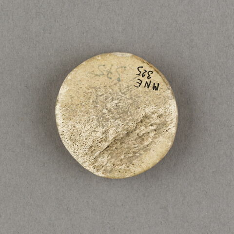 pion, image 3/3