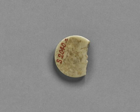 pion, image 2/2