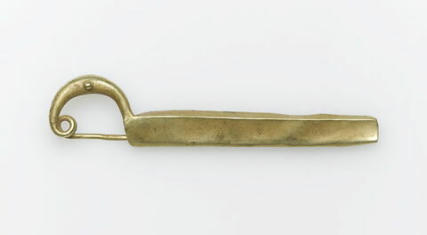 fibule