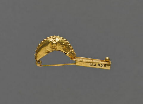 fibule, image 2/2