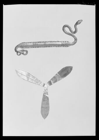 applique de vêtement, image 2/2