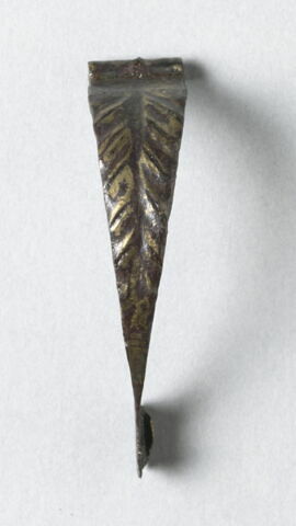 fibule