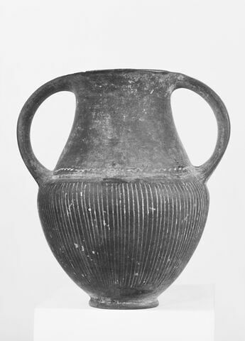 amphore