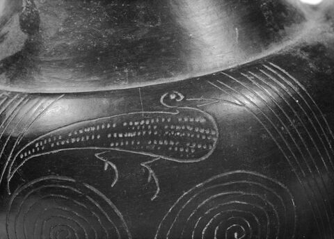 amphore, image 2/3