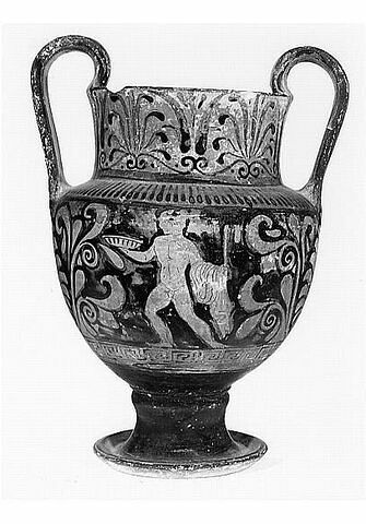 nestoris, image 2/3