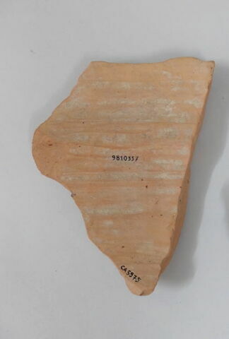 amphore, image 2/2