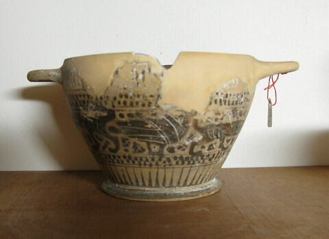 cotyle, image 2/3