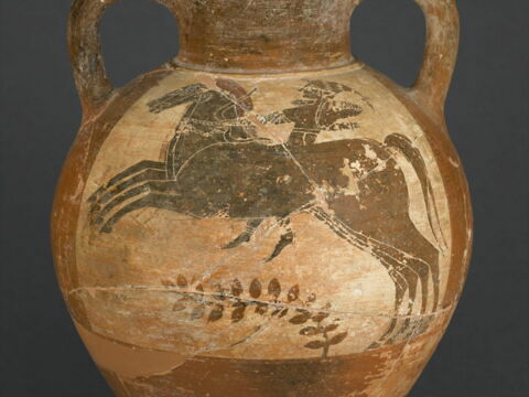 amphore, image 3/4