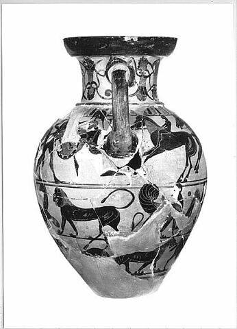 amphore, image 7/8
