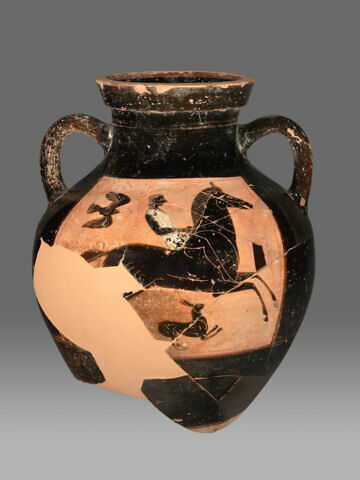 amphore, image 2/4
