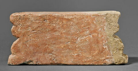 arula, image 3/5