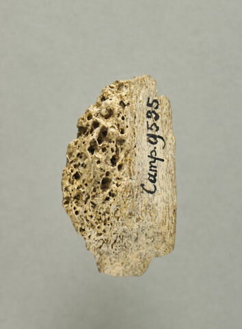 relief, image 2/3