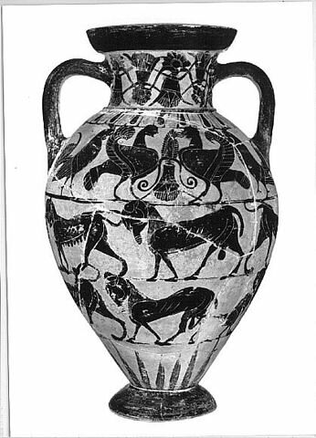 amphore, image 6/8