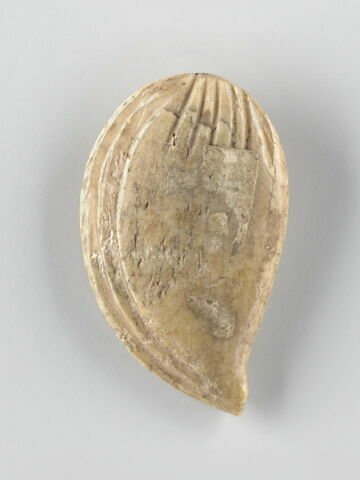 tessère