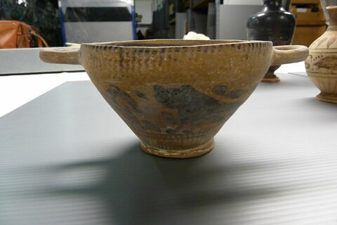 cotyle, image 2/3