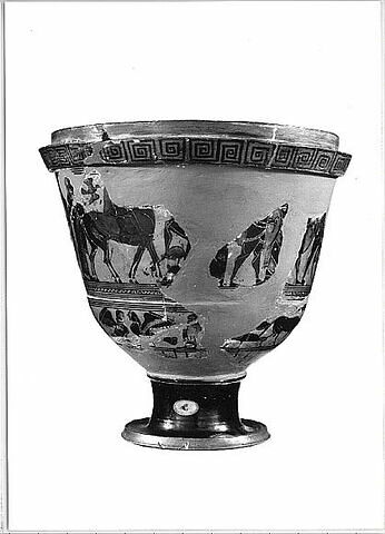 pyxis, image 2/4