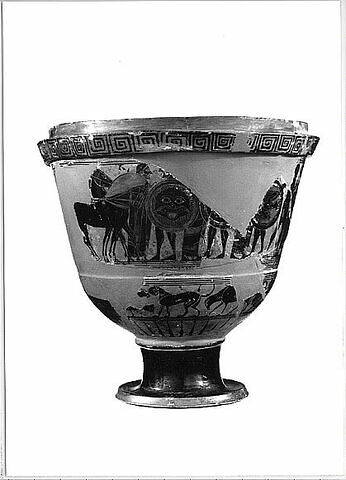 pyxis, image 4/4