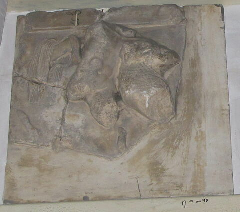 Tirage intégral de la métope d'Héraklès contre le lion de Némée, image 1/1