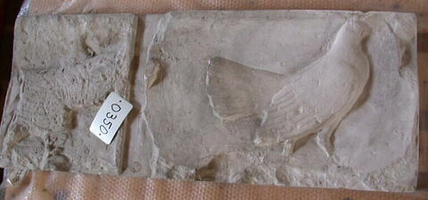 Tirage d’une plaque représentant la queue d'un coq et une poule, image 2/2