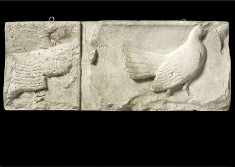 Tirage d’une plaque représentant la queue d'un coq et une poule, image 1/2