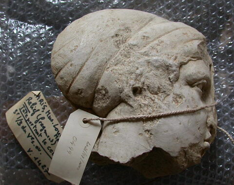 Tirage d'un fragment de stèle : une tête féminine au cécryphale, image 1/1