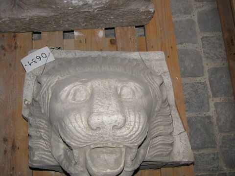 Tirage partiel d’une gargouille en forme de tête de lion, image 1/1
