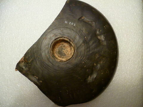 phiale, image 3/4
