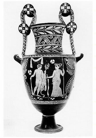 nestoris, image 2/4